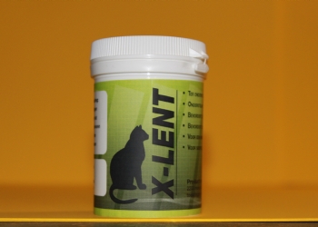 X-LENT voor Katten